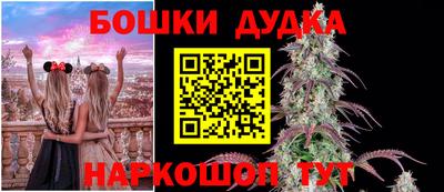 спиды Обь