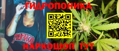спиды Обь