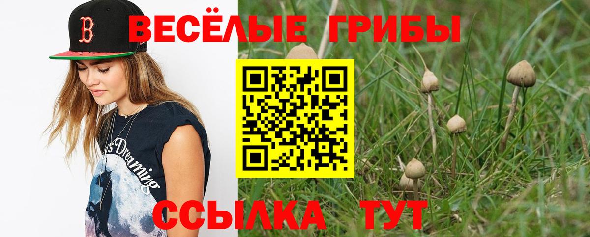 Похвистнево  Галлюциногенные грибы Psilocybe  Галлюциногенные грибы Cubensis  Вход с VPN 
